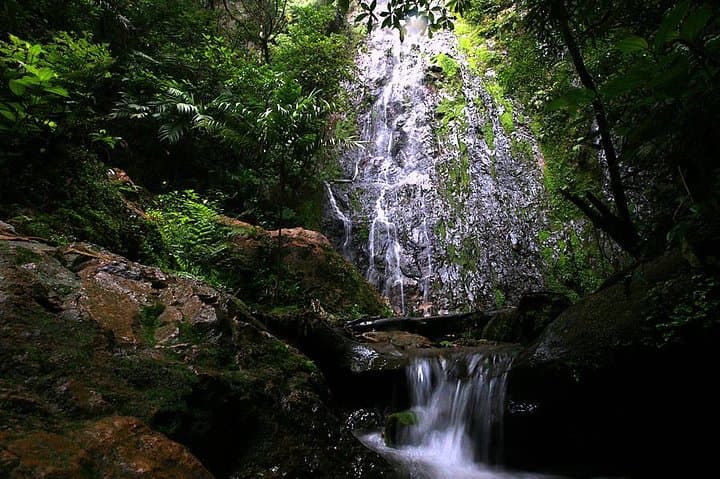 La Tigra and El Picacho Day Hike: Cloud-Forest Trails Near Tegucigalpa photo 1