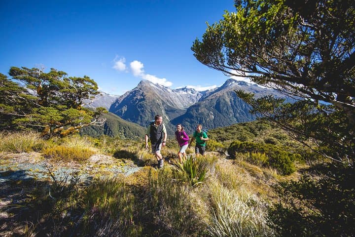 Full-Day Routeburn Track & Key Summit Guided Walk from Te Anau