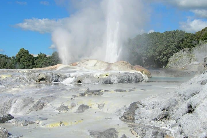 Full-Day Rotorua Private Tour from Auckland: Geothermal Wonders, Māori Culture & Redwood Walks photo 2