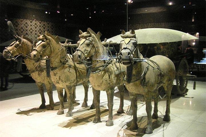 Xi'an Terracotta Warriors & Ancient City Wall Private Day Tour — Full-Day Cultural and Historical Experience photo 5