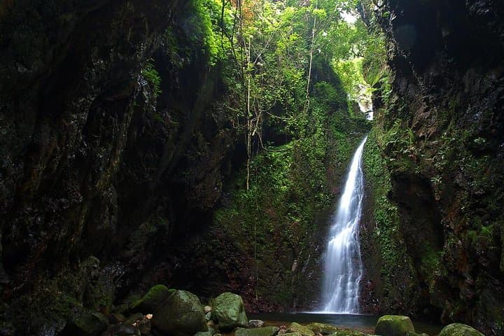 Tai Mo Shan Waterfall Hike — Ng Tung Chai Falls Guided Adventure photo 3