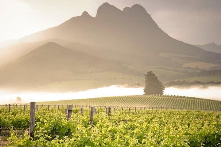 Stellenbosch Vine Hopper Northern Route: Hop-On Hop-Off Wine Tour Guide photo 1