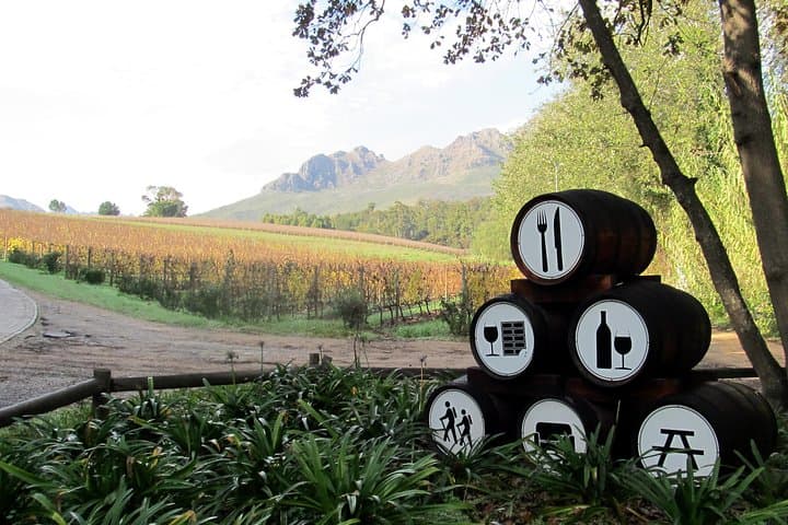 Stellenbosch Vine Hopper Southern Route: A Practical Guide to Hop-On Hop-Off Wine Tasting