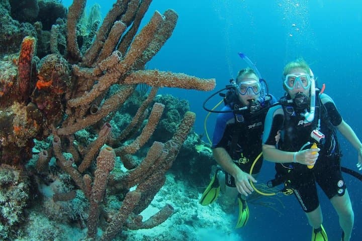 Certified Scuba Diving in Curaçao: Tugboat & Marie Pampoen Wreck Dives