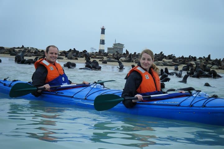Kayak with the Pelican Point Seal Colony: Half-Day Tour from Walvis Bay photo 3