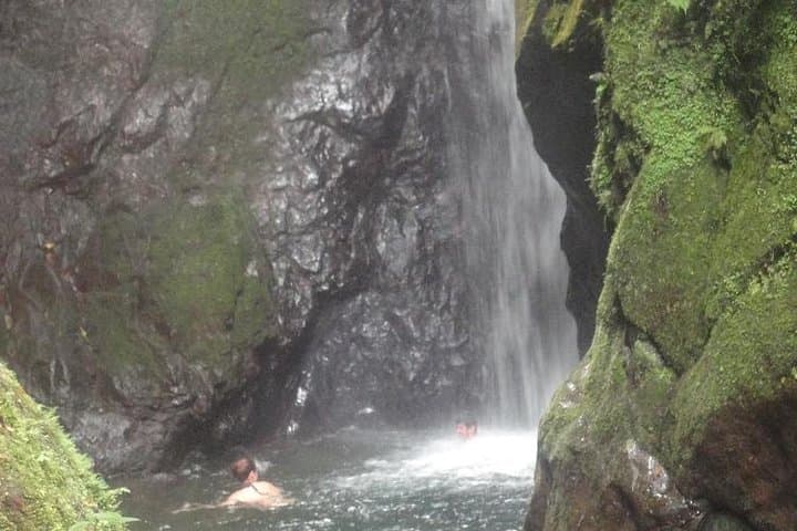 Mindo Cloud Forest Day Trip: Birdwatching, Waterfalls & Hummingbirds from Quito photo 4