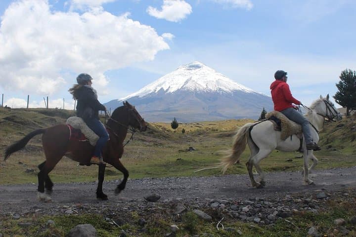Horseback Ride and Hike at Cotopaxi Volcano — Day Trip from Quito