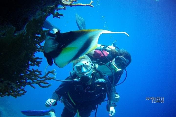 PADI 3-Day Open Water Course in Sharm El Sheikh — Learn to Dive the Red Sea