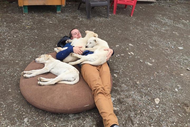 Sled Dog Adventure & Yukon Gold Panning from Skagway — White Pass Wilderness Tour photo 2