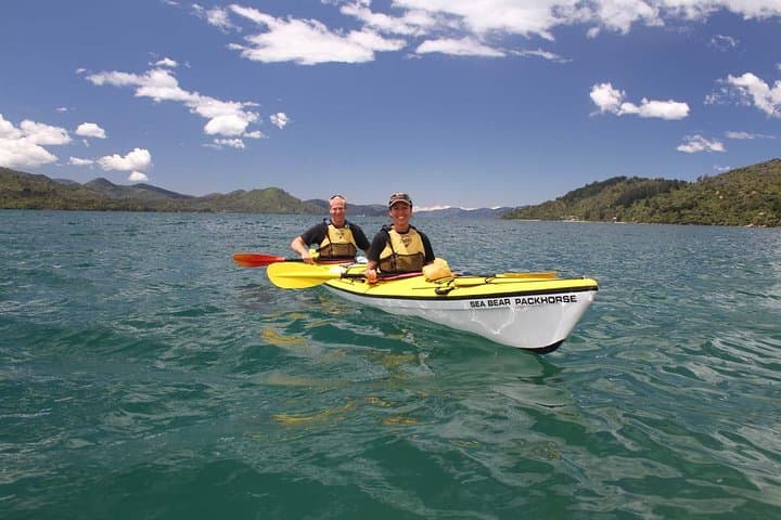 Half-Day Sea Kayak in the Marlborough Sounds — Picton Guided Tour photo 6