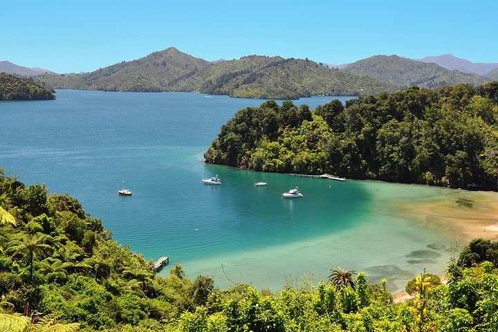 Full-Day Kayak and Link Pathway Walk in Queen Charlotte Sound (Picton) photo 3