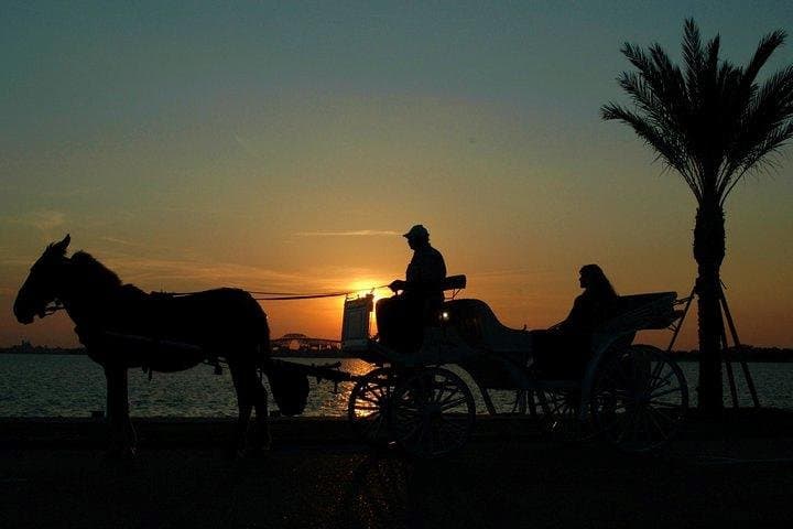 Cairo Horse-Carriage & Walking Tour: Tahrir Square, Nile Corniche & Cairo Tower photo 3