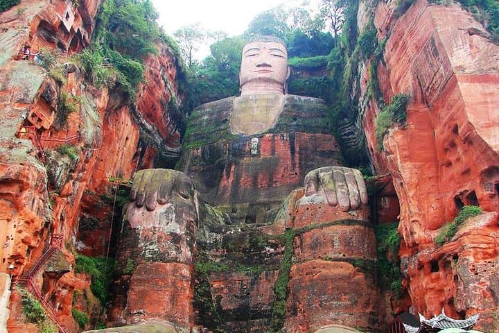 Giant Pandas and the Leshan Giant Buddha: Chengdu Day Trip photo 2