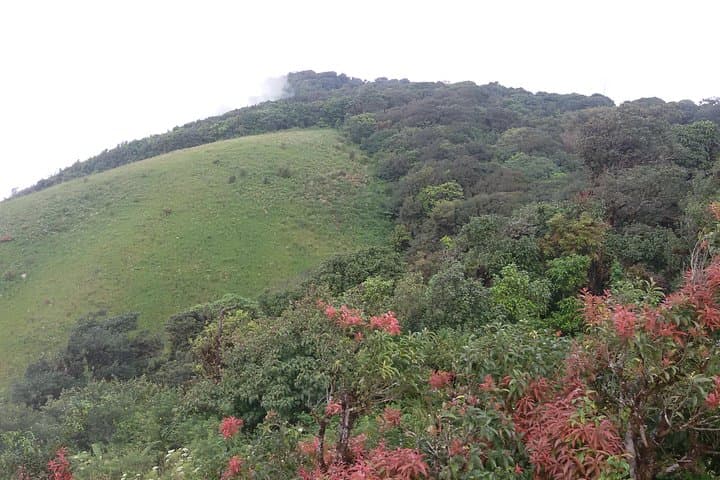 Kew Mae Pan Trail & Doi Inthanon Day Hike: From Chiang Mai to Thailand's Roof photo 3