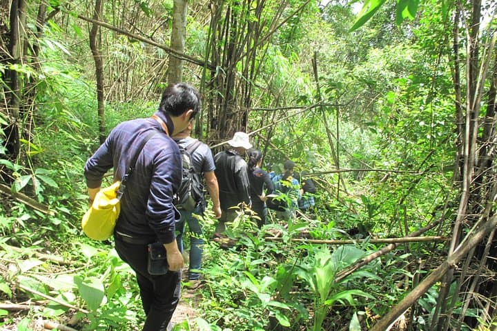 Doi Suthep Trek: Market, Temple and Waterfall Hike from Chiang Mai