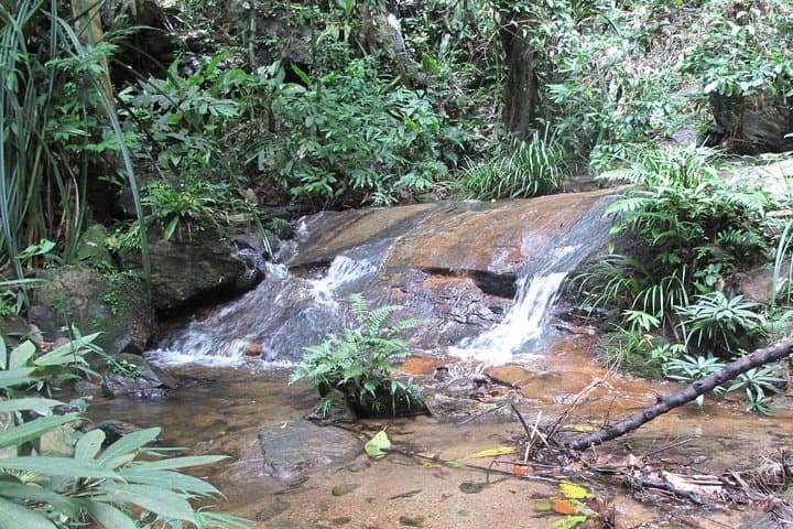 Doi Suthep Trek: Market, Temple and Waterfall Hike from Chiang Mai photo 5