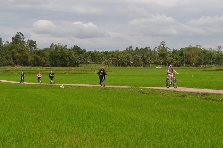 Pedals, Paddyfields, and Hidden Tunnels