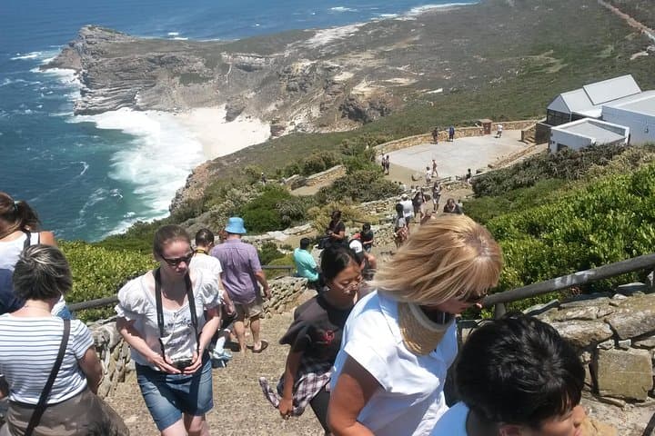 Best of the Cape: Cape Point & Winelands Full-Day Tour from Cape Town
