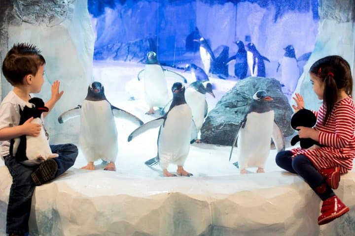 Inside SEA LIFE Paris Val d'Europe: Practical Guide to the Aquarium Experience photo 5