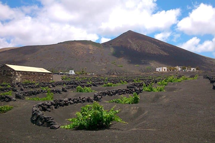 Hiking La Geria Vineyards: Lanzarote Volcanic Wine Walking Tour photo 2