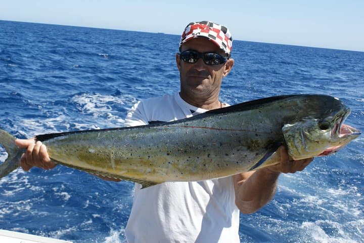 Big Game Fishing off Vilamoura: Full-Day Reef & Shark Charter photo 2