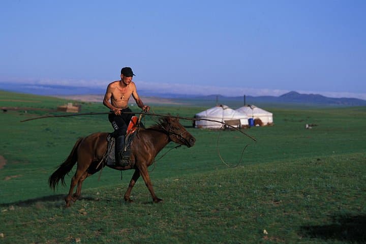 Day Trip to Terelj National Park: Turtle Rock, Genghis Khan Statue & Nomadic Culture