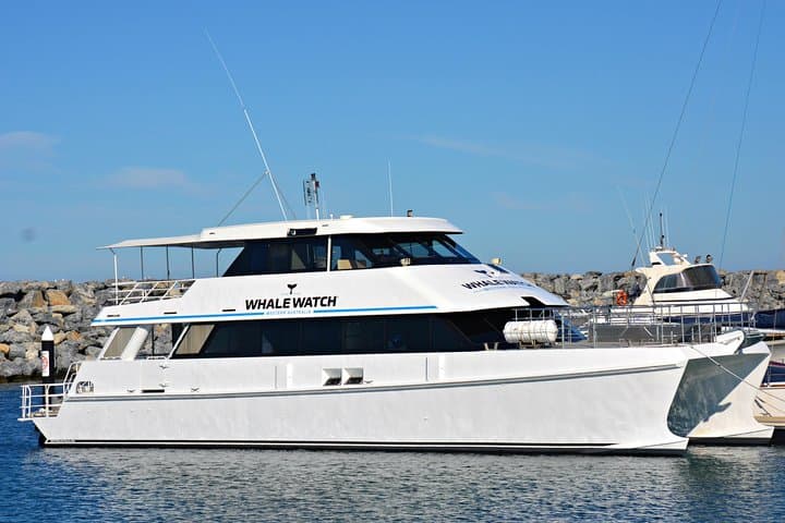 Perth Whale Watching: Educational Humpback Cruises from Fremantle photo 2