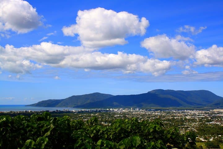 Private Half-Day World Heritage Rainforest & Barron Falls Tour from Cairns photo 2