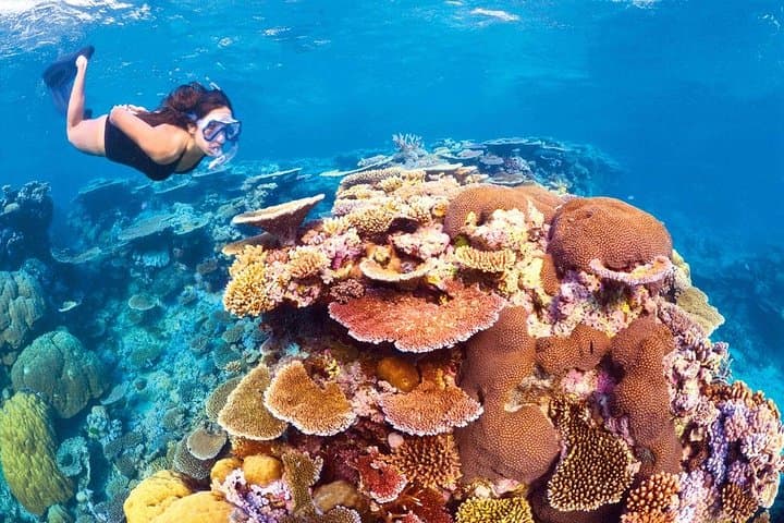 6-Day Cairns Adventure: Great Barrier Reef, Kuranda & Daintree Highlights