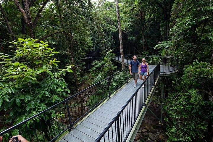 4-Day Cairns Explorer: Great Barrier Reef & Daintree Rainforest Tour