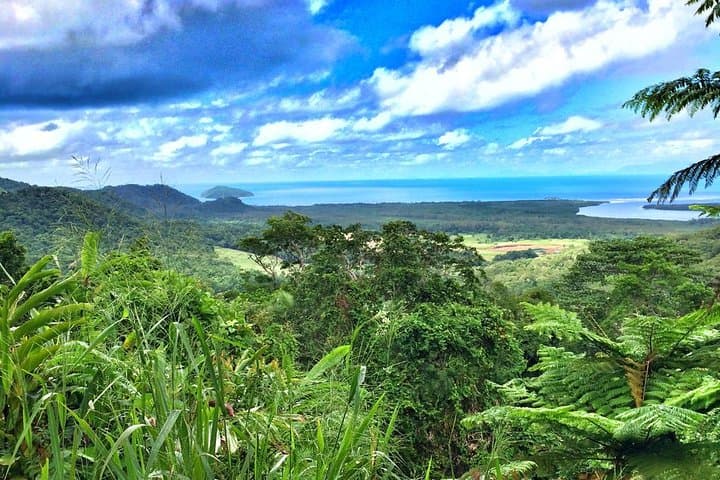 Private Cape Tribulation & Mossman Gorge Day Tour — Daintree Rainforest Day Trip from Cairns