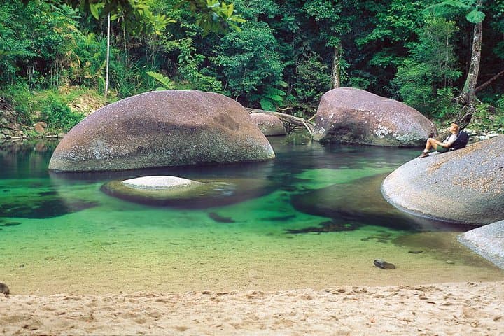 Private Cape Tribulation & Mossman Gorge Day Tour — Daintree Rainforest Day Trip from Cairns photo 3