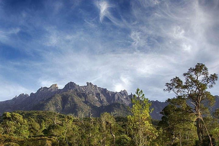 Full-Day Kinabalu Park & Poring Hot Springs: Canopy Walkway, Trails and Sulfur Baths from Kota Kinabalu photo 4