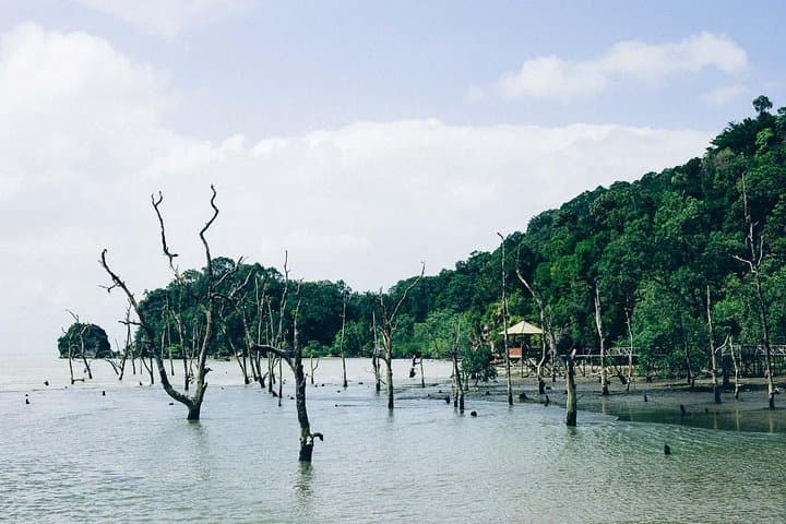 Bako National Park Day Trip from Kuching: Rainforest Trails, Beaches & Wildlife photo 3