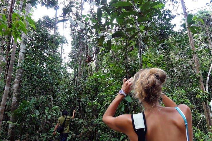 Semenggoh Orangutan Center and Sarawak Sunset River Cruise: Day Trip from Kuching photo 4