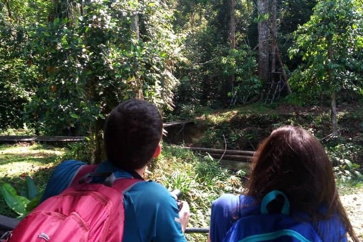 Kuching Rainforest Kayak and Semenggoh Orangutan Encounter photo 5