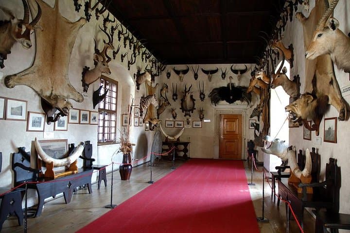 Day Trip from Prague to UNESCO Třebíč & Telč — Telč Castle Guided Visit