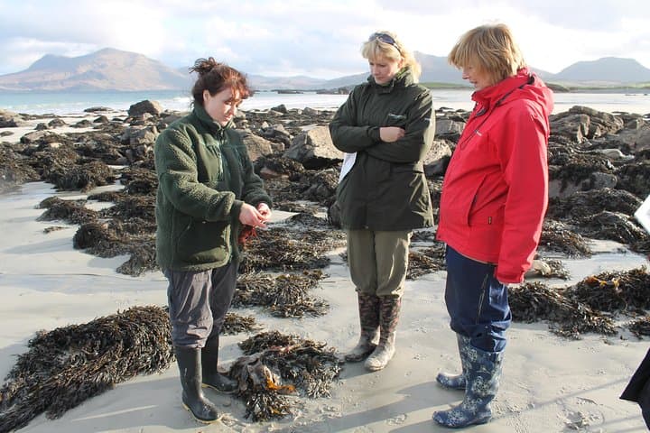 Connemara Blanket Bog & Beach Ecology Walk — Private Full-Day from Letterfrack