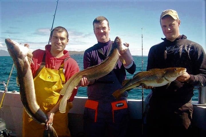 Connemara Deep Sea Angling: Private Day Trip from Cleggan