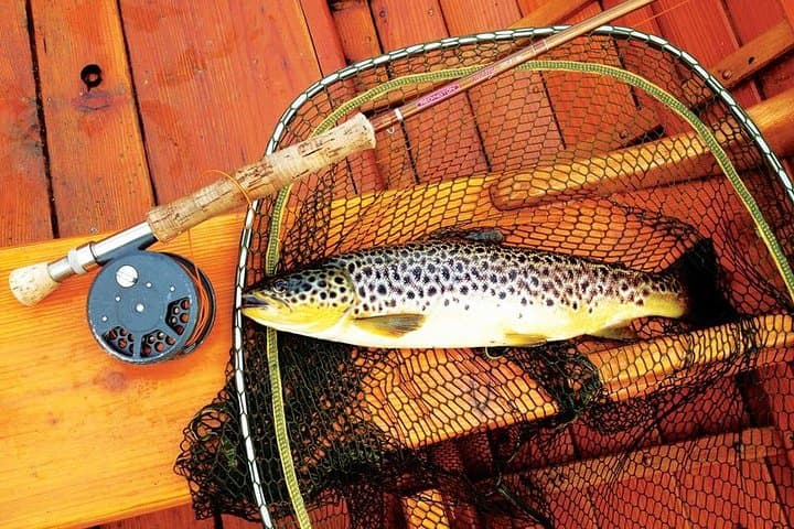 Fly Fishing Wild Brown Trout on Lough Corrib — Private Ghillie Day Trip from Galway