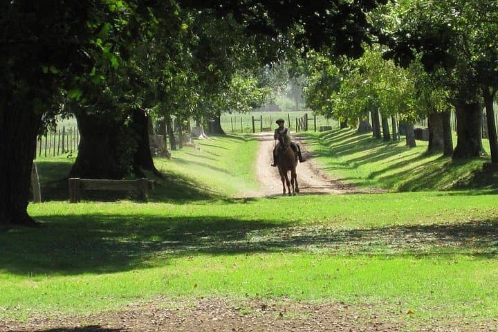 Private Day at an Argentinian Estancia: Gaucho Culture, Asado & Pampas Rides photo 2