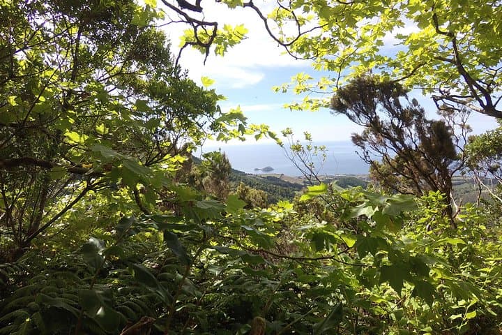 Lagoa do Fogo Walking Tour: Crater-Lake Hike & Picnic from Ponta Delgada photo 5
