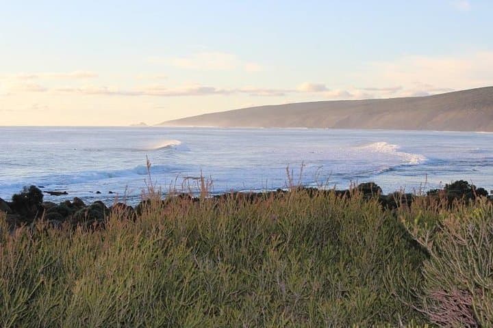 Margaret River Indulge and Discover Day Tour: Coffee, Cave & Wine Trail photo 2