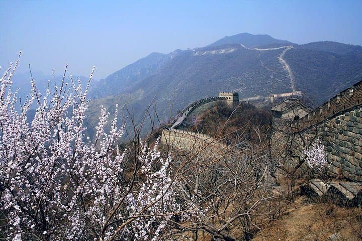 Beijing 2-Day Highlights: Mutianyu Great Wall, Forbidden City & Local Flavors photo 2