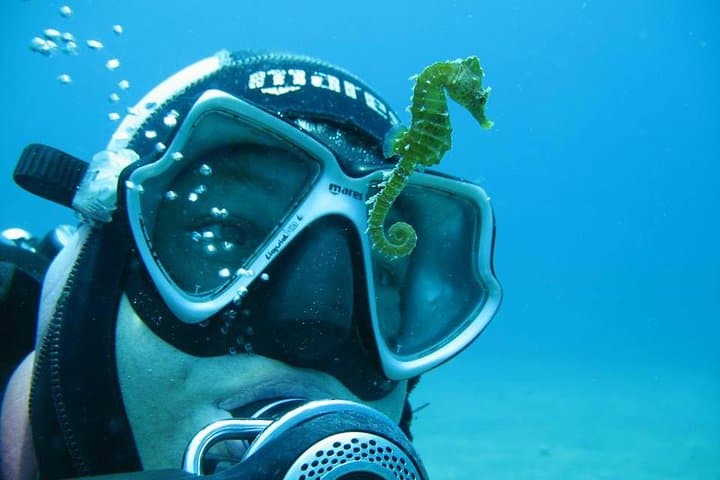 Try Scuba Diving in Split — Beginner Introductory Dive Trip in Croatia