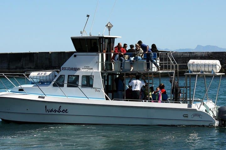Walker Bay Big 5 Sea Safari: Whales, Dolphins, Seals & Penguins from Gansbaai photo 1