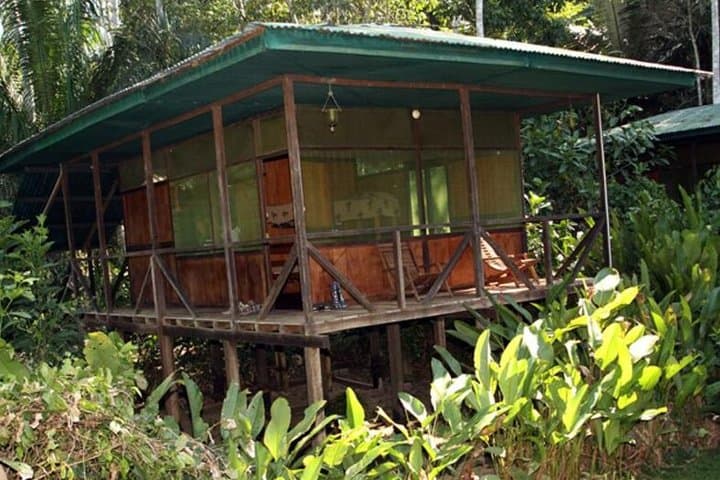3-Day Amazon Eco-Lodge Adventure from Puerto Maldonado photo 2
