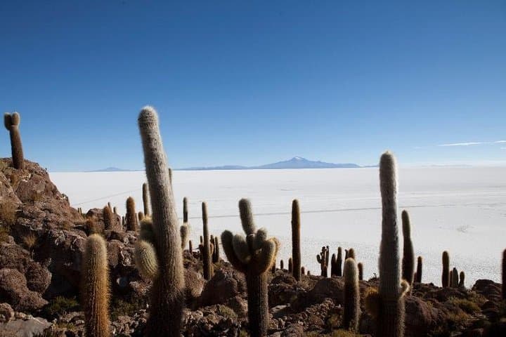 Full-Day Uyuni Salt Flats Tour — Isla Incahuasi, Salt Hotel & Sunset photo 2