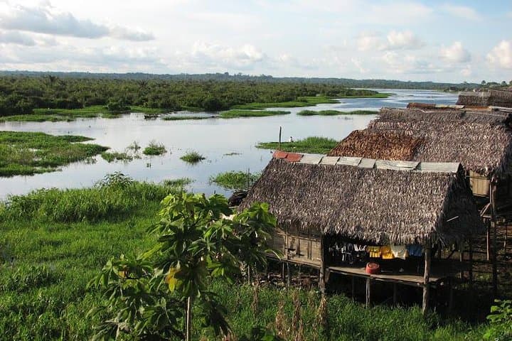 3-Day Amazon Jungle Adventure from Iquitos — Lodge Stays, Pink Dolphins & Night Safaris photo 1