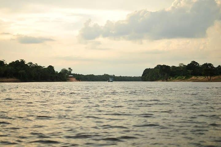 5-Day Amazon Manaus Jungle Adventure — Canoes, Camping & Wildlife near Manaus